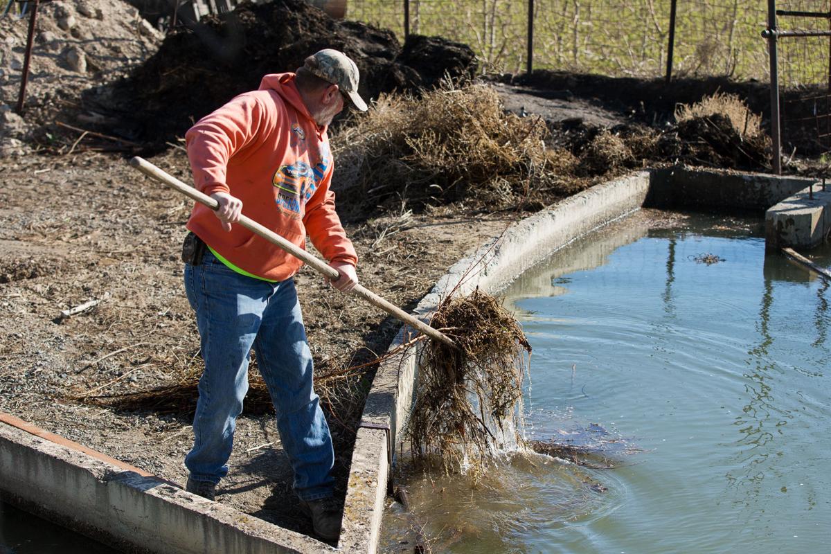 Ditch riders keep water flowing in Yakima Valley's irrigation systems