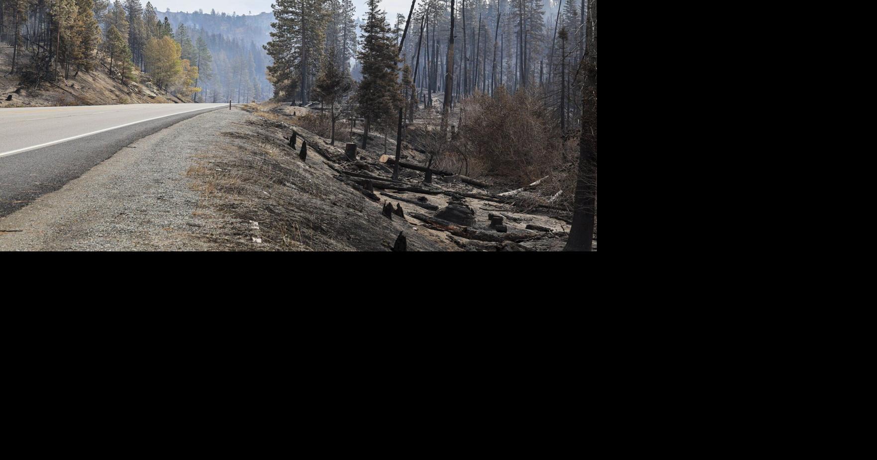 U.S. 97 over Blewett Pass to close Thursday so crews can remove trees after wildfire
