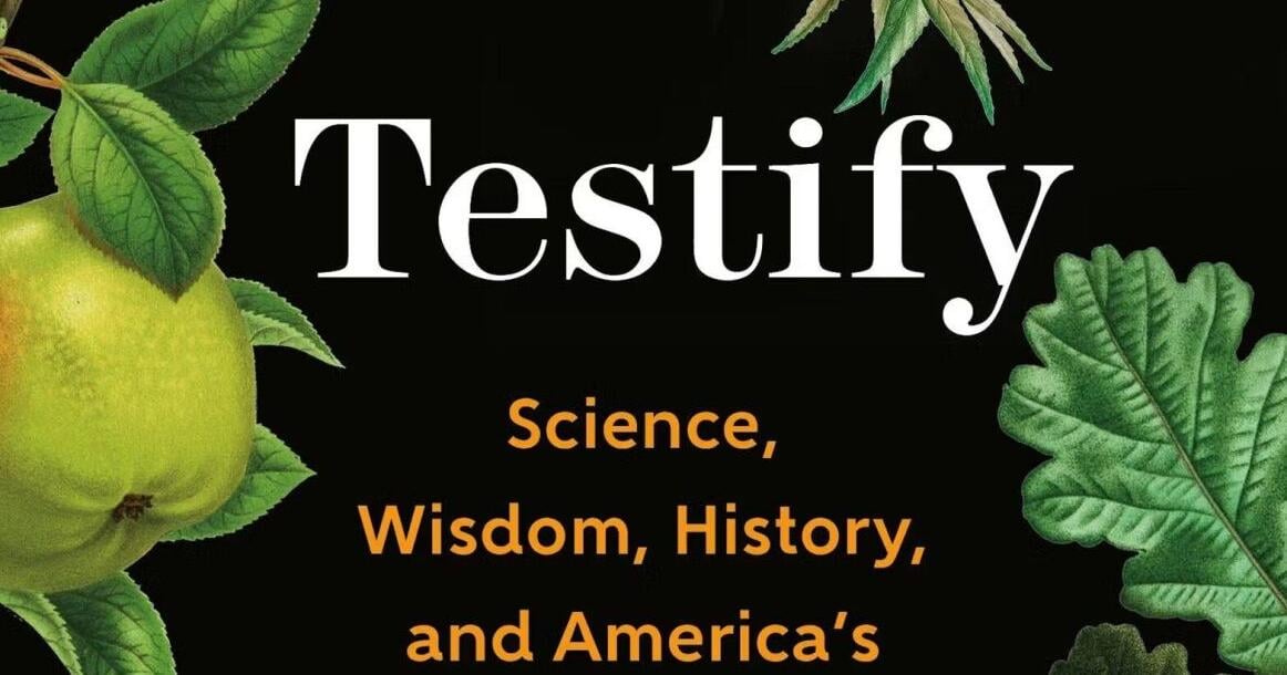 5 books to read ahead of Black History Month