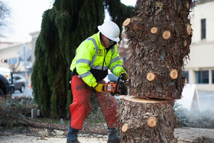 PHOTOS 2021 Yakima community Christmas tree Photos and Videos