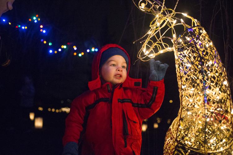 The Arboretum's Annual Luminaria Event News Photos