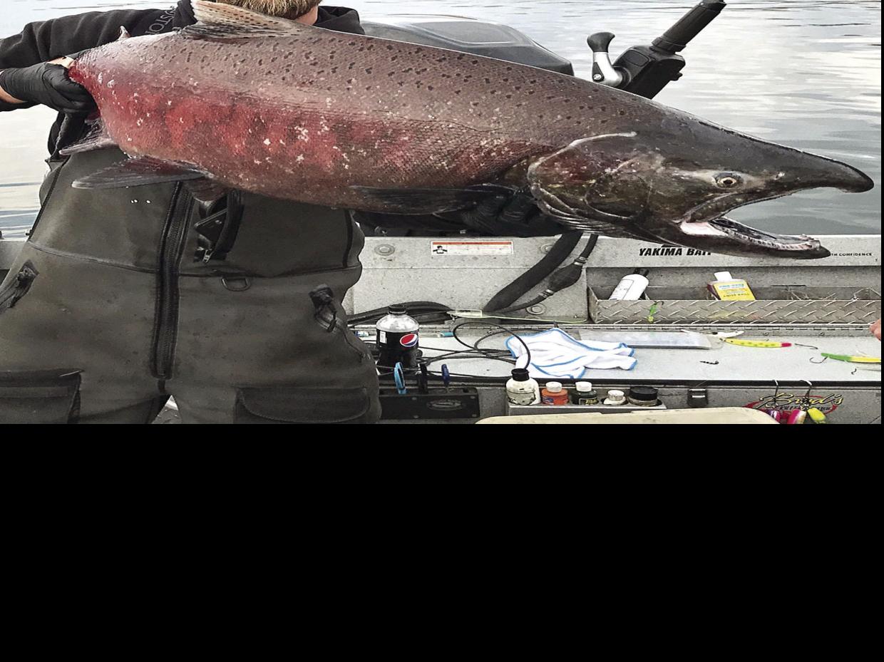Sockeye salmon fishing on the Columbia River takes patience