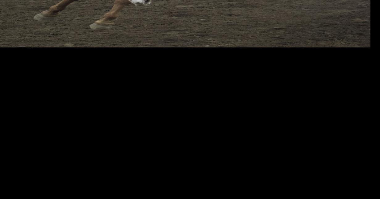 Columbia River Circuit Finals Rodeo returns to the SunDome in Yakima on ...