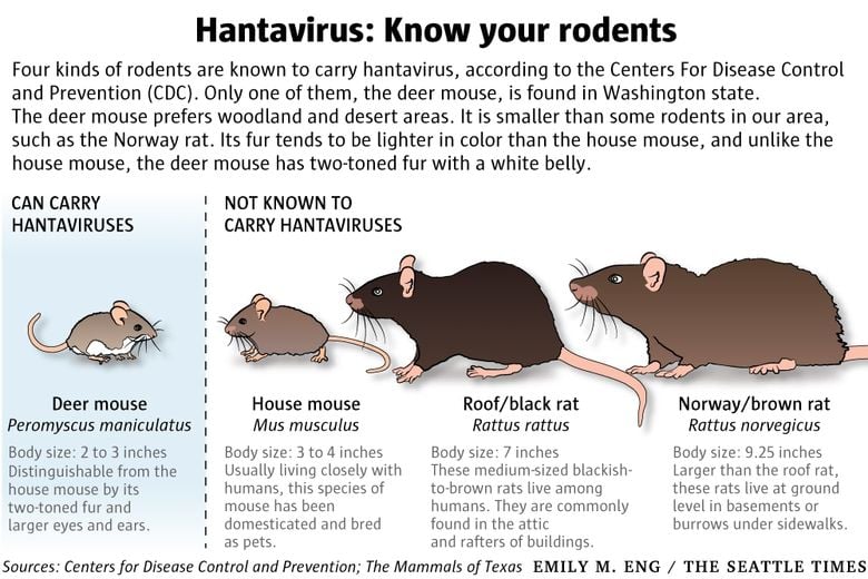 Deadly Hantavirus Sickens Another In The Region Local Yakimaherald Com   58d409f785fb3.image 