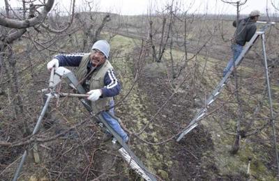 Court case could drastically change the way growers pay piece-rate workers during rest breaks