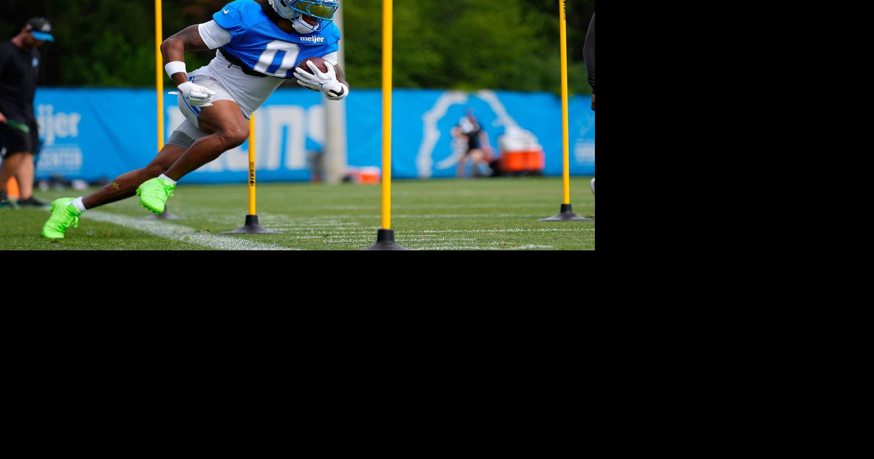 LIONS-GIBBS