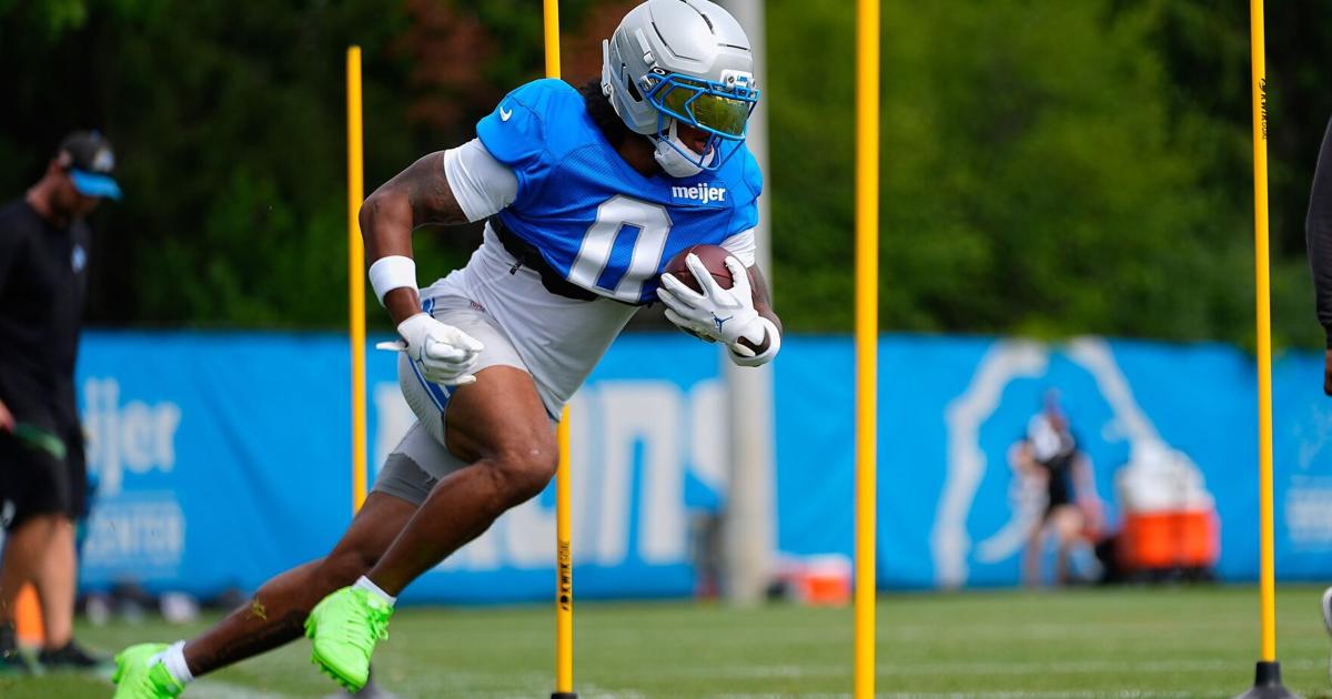 LIONS-GIBBS