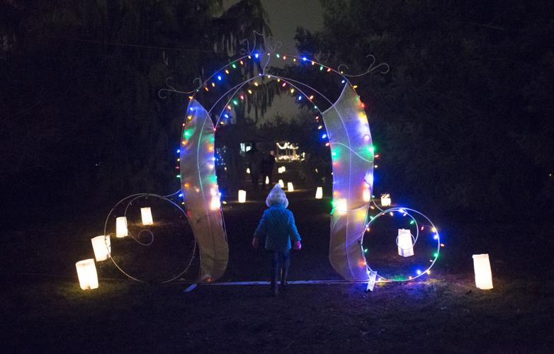 The Arboretum's Annual Luminaria Event News Photos