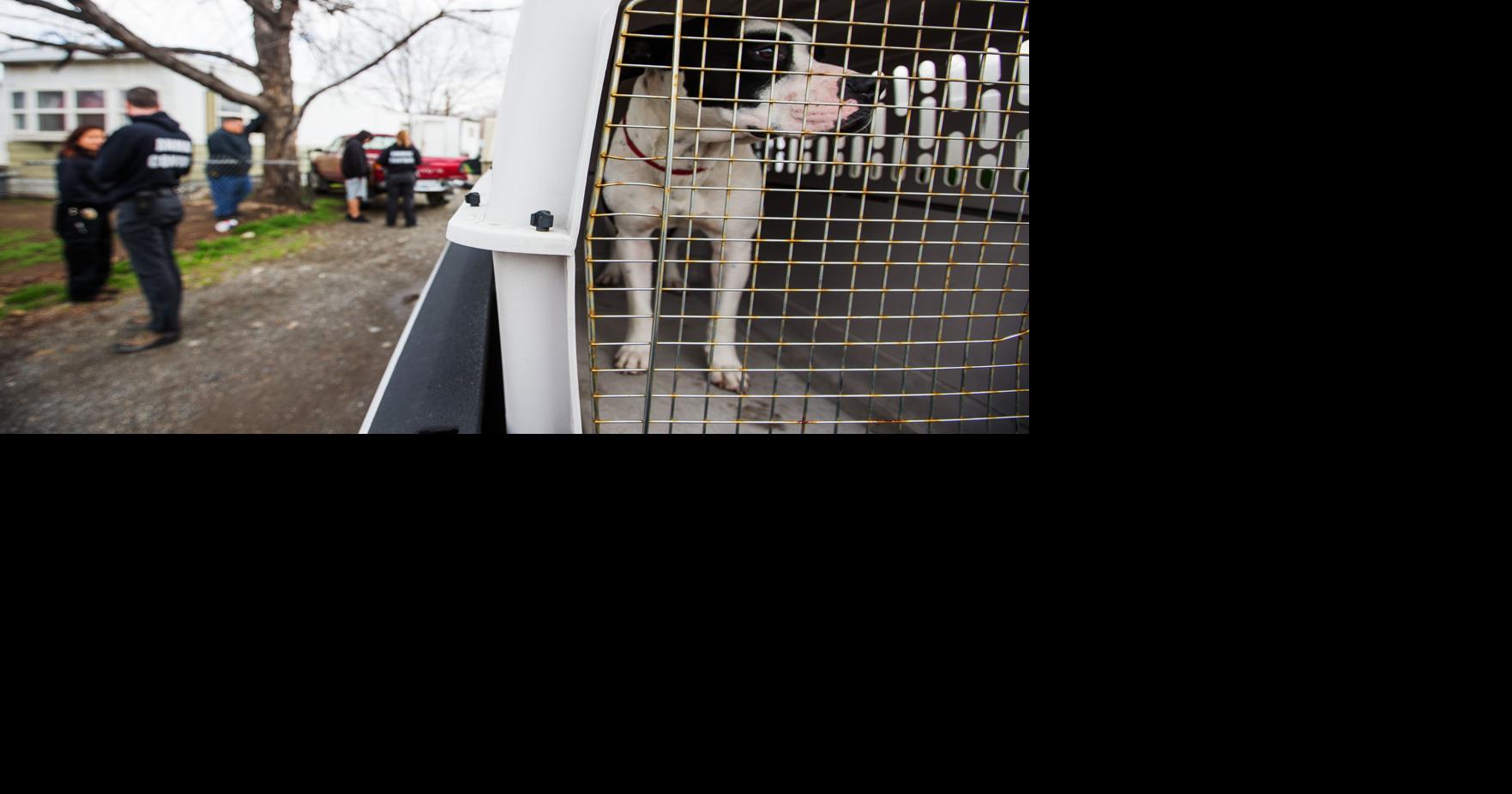 Yakima to consider big changes to animal control rules Local