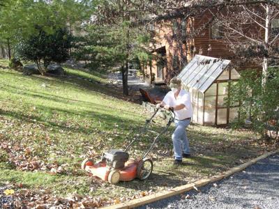In the garden: This fall, try mulch-mowing leaves into lawn