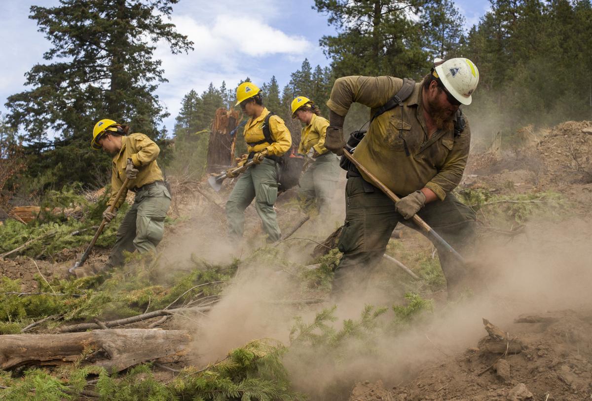 Oct. 5 | Schneider Springs Fire rehabilitation