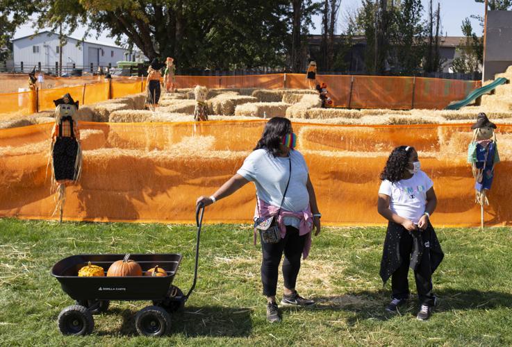 Done right, pumpkin patches and corn mazes offer safe fall fun