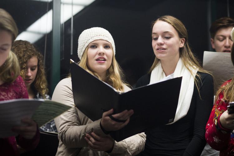 The Arboretum's Annual Luminaria Event News Photos