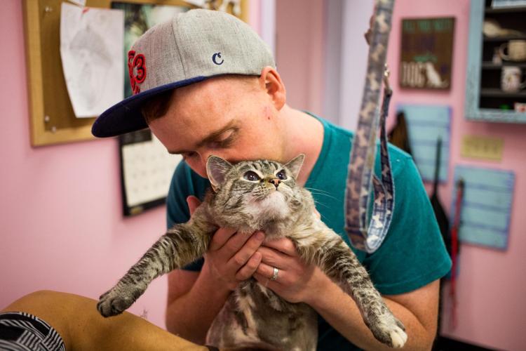 The buying power of pets