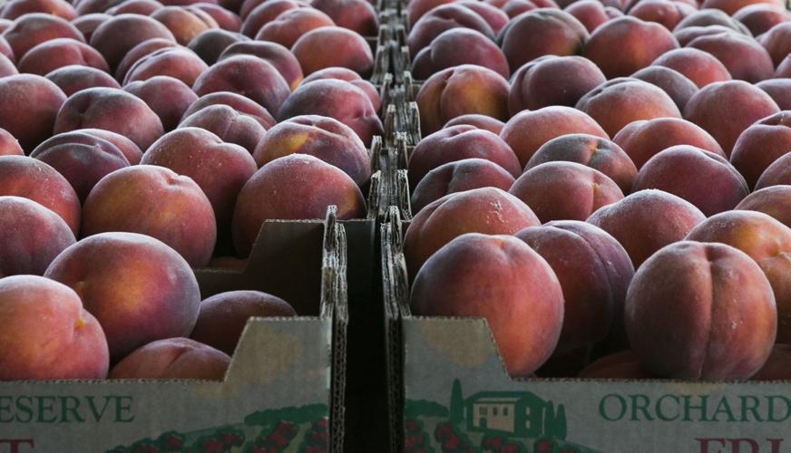 Summer in the Valley is peach perfect Home And Garden