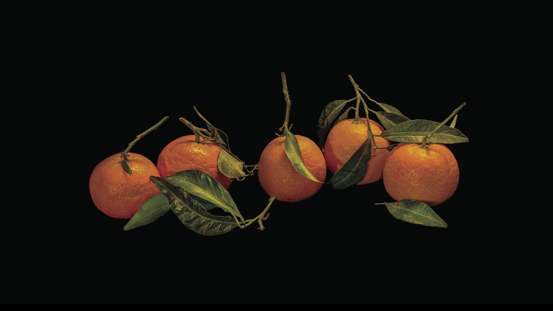 Master Gardener Growing Citrus This Winter Home And Garden