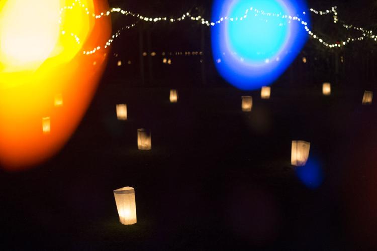 The Arboretum's Annual Luminaria Event News Photos