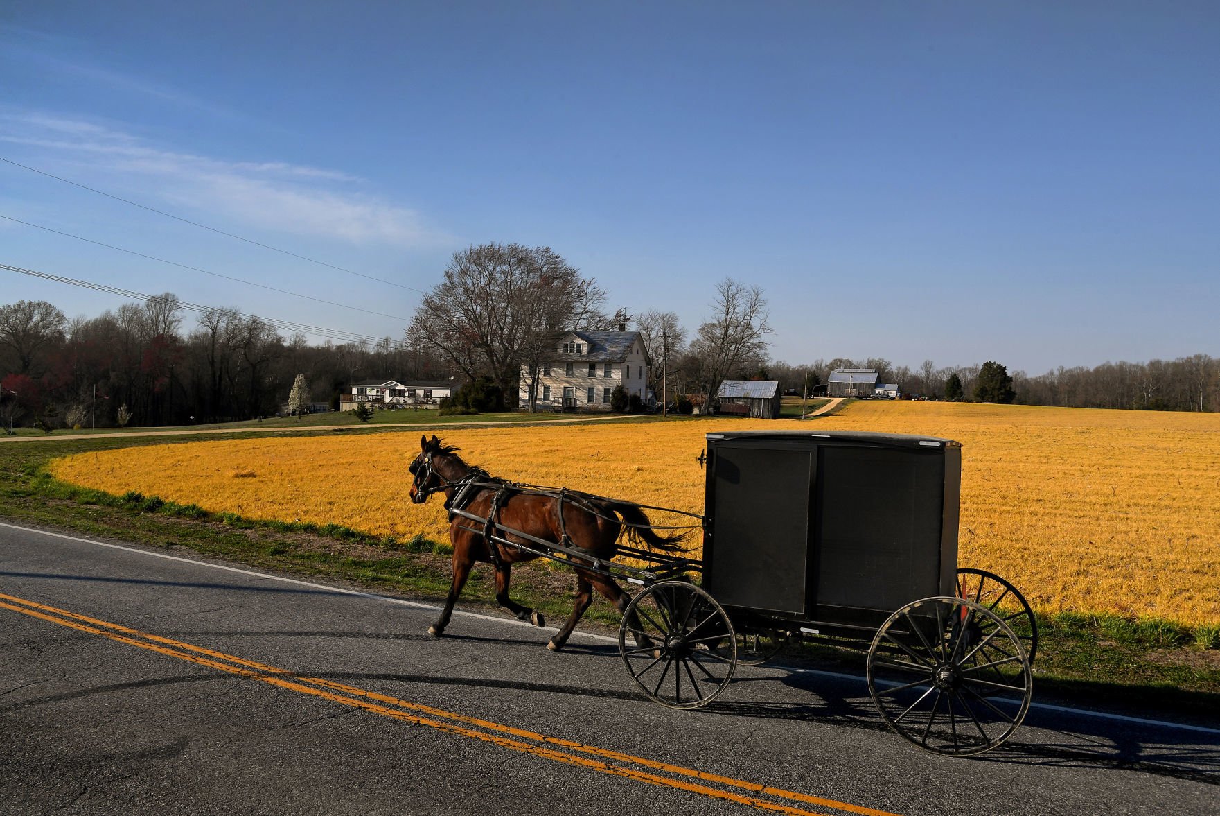 The Famously Secluded Amish Are The Target Of A Republican Campaign To ...