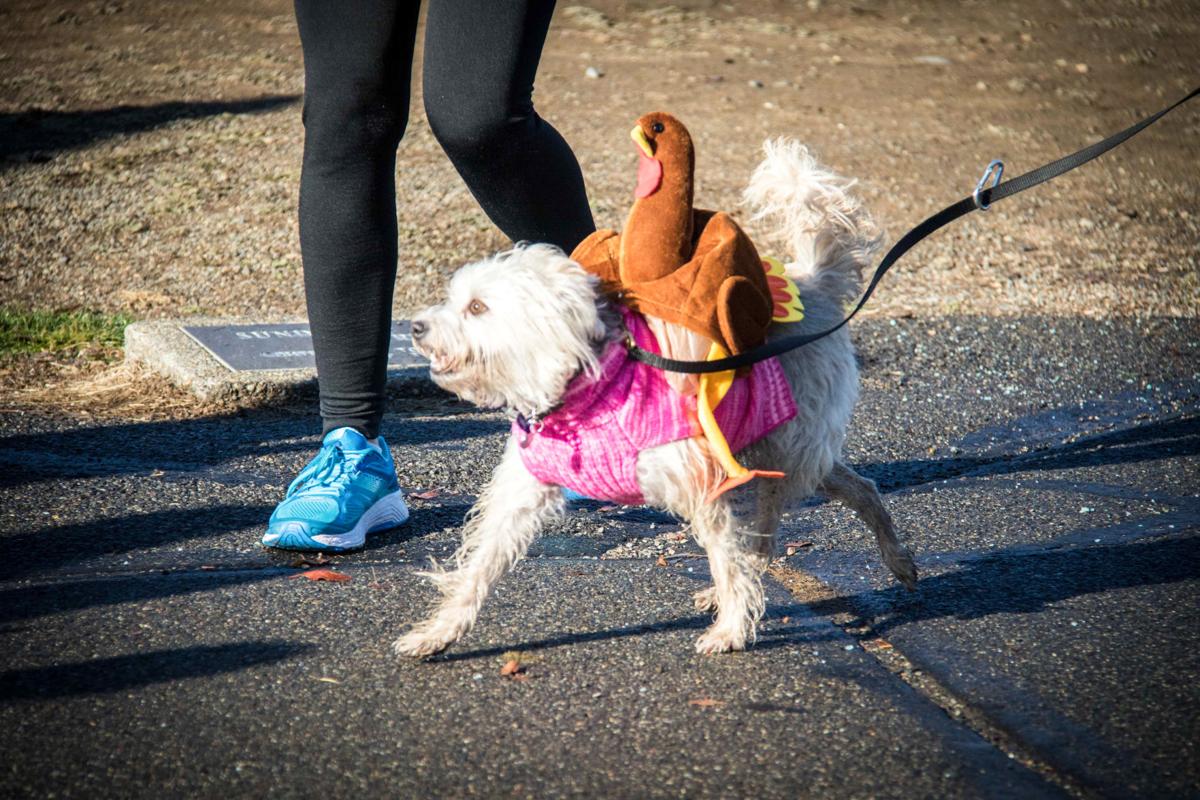 turkey-trot-77.jpg