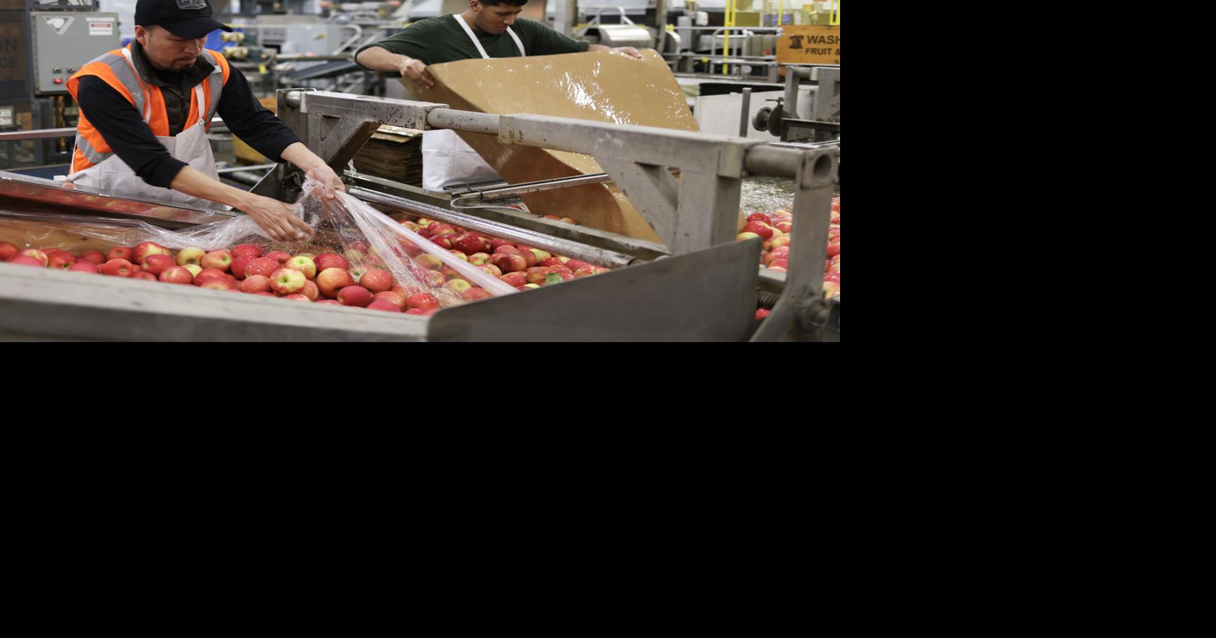 Yakima County jobless rate improves over past year