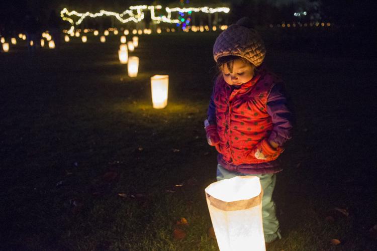 The Arboretum's Annual Luminaria Event News Photos