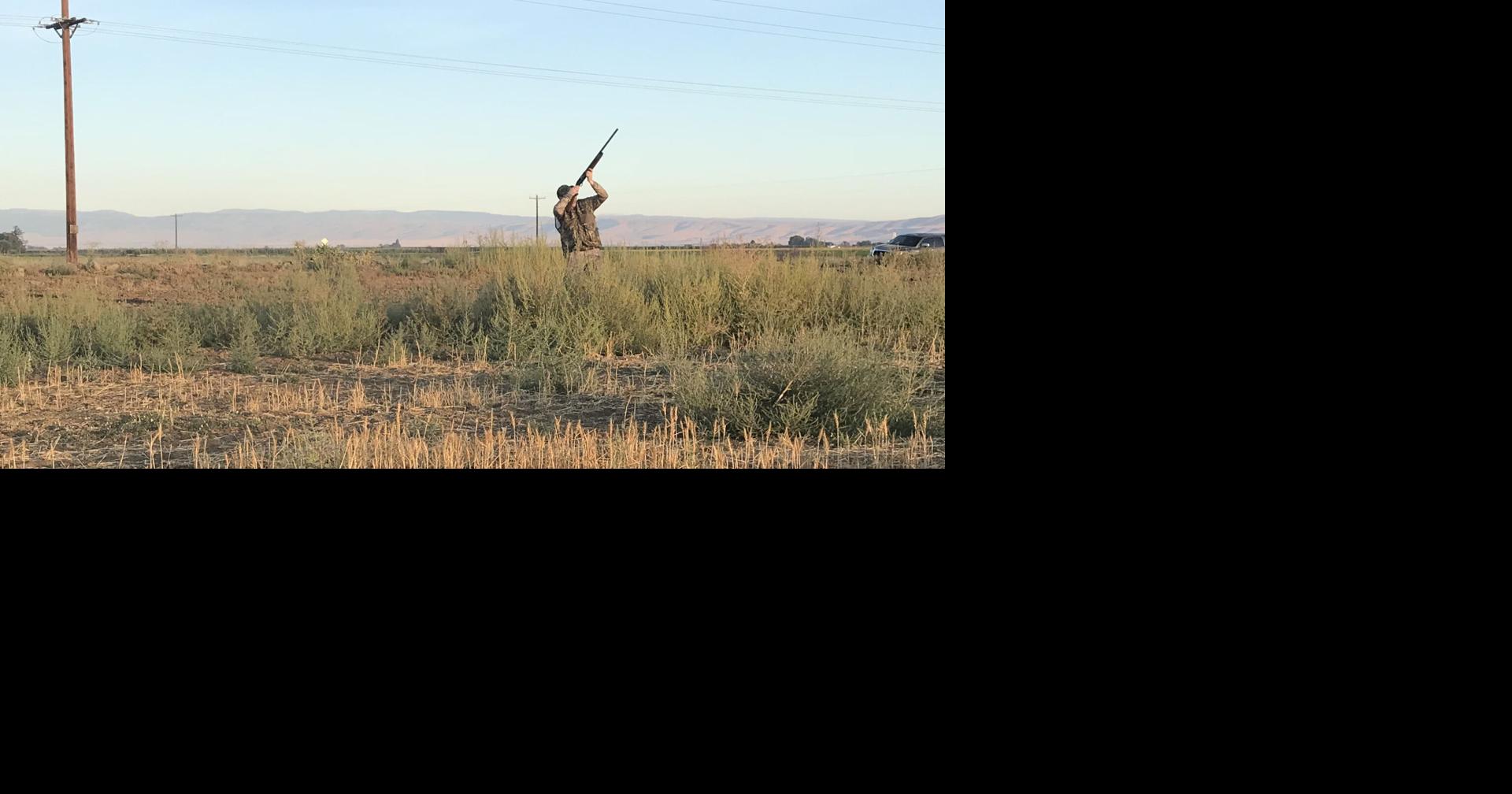 Rob Phillips First of September means start of turkey, dove and