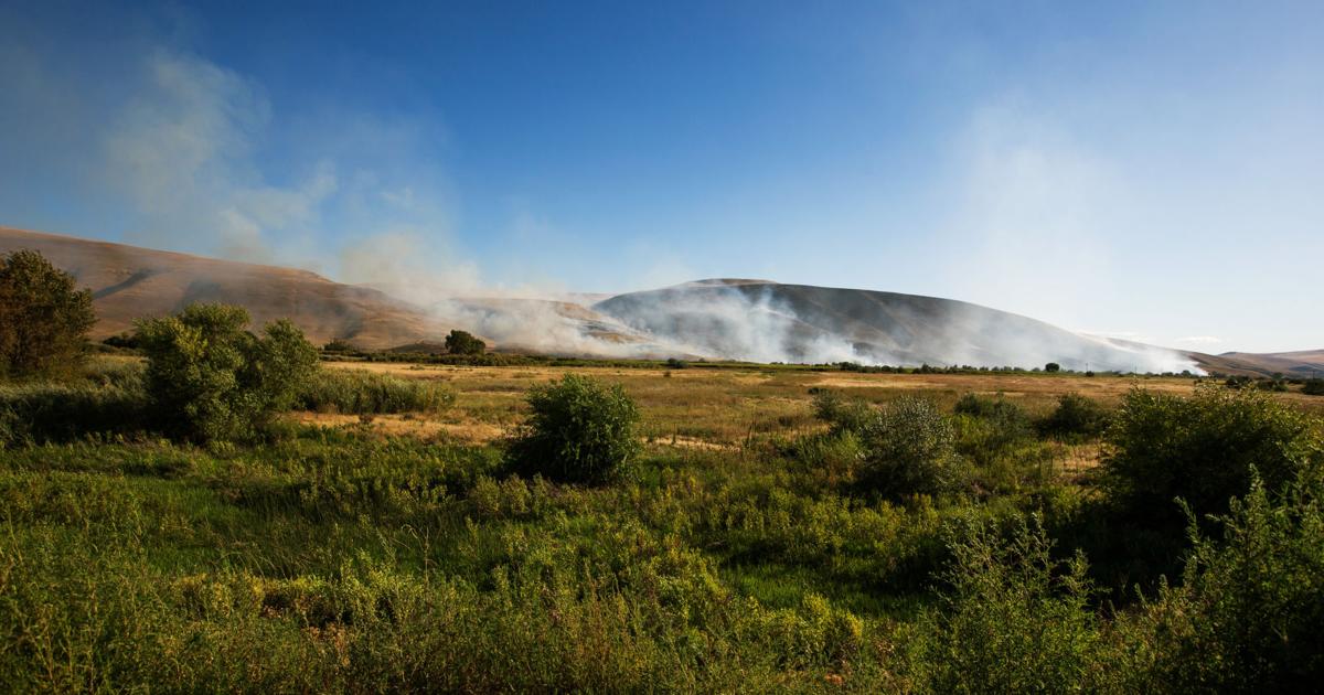 Toppenish Ridge Photos: Crews battle brush fire on Toppenish Ridge | News Photos ...
