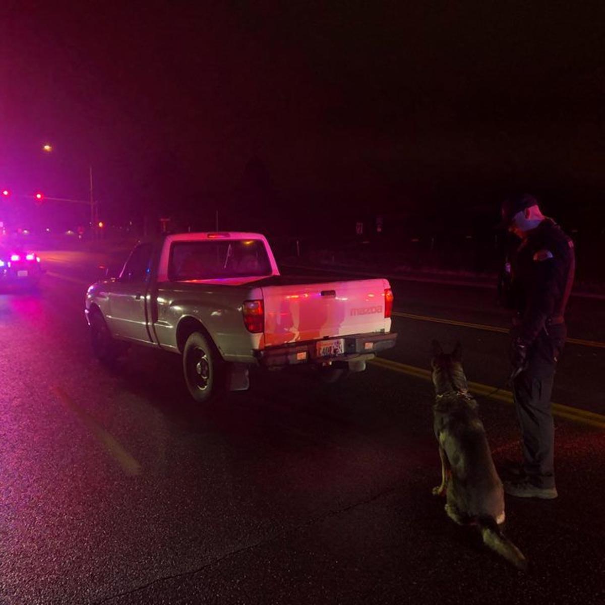 Captain Underpants Tried To Outrun Pasco Police The Tale Of The