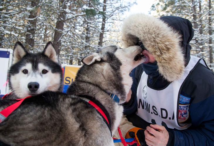 Photos Sled dog race in Cle Elum News Photos