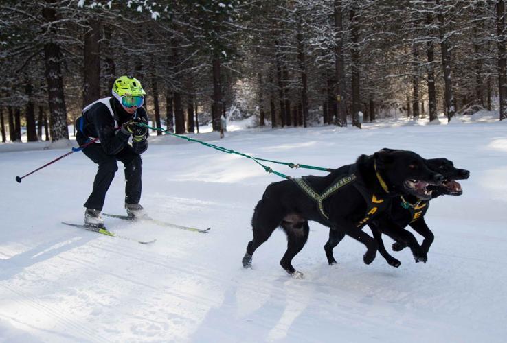 Photos Sled dog race in Cle Elum News Photos