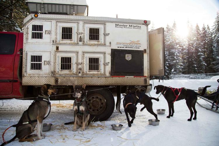 Photos Sled dog race in Cle Elum News Photos