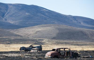 Sage grouse fate examined after Range 12 Fire decimates habitat | Local ...