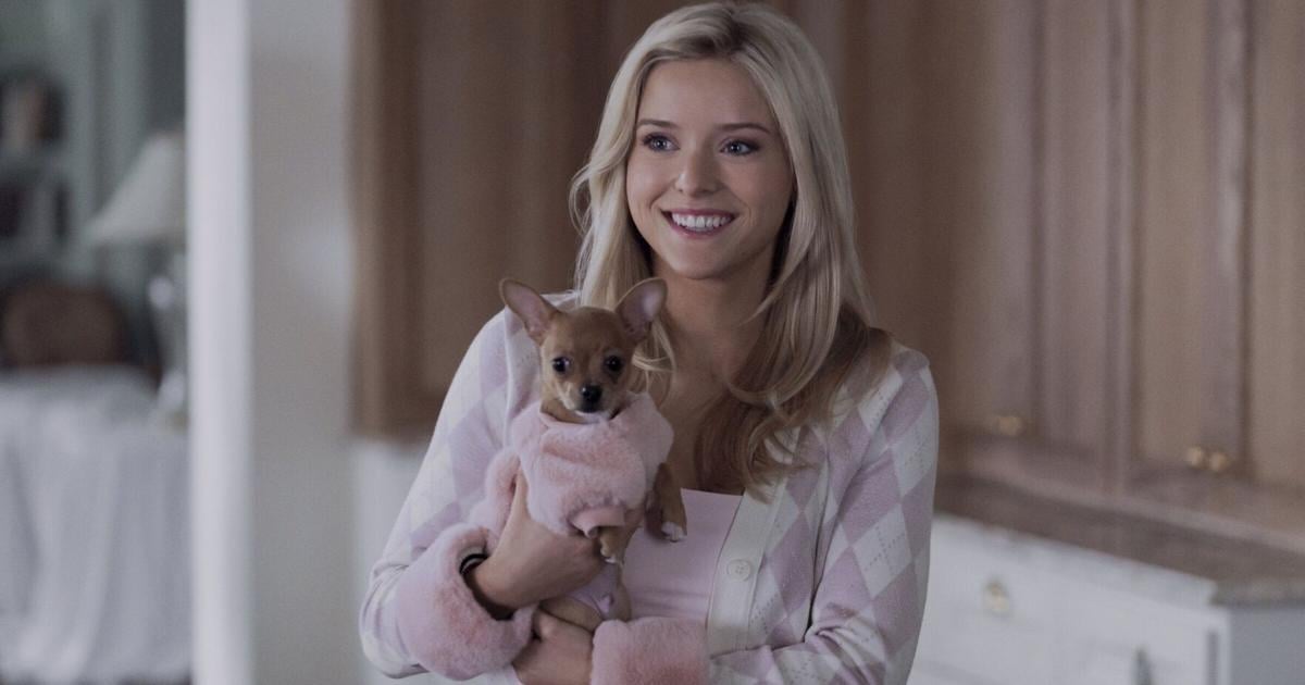 What to stream in July 2026: ‘Elle,’ ‘Lucky,’ ‘The Westies,’ ‘Ride or Die’