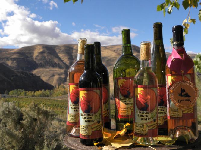 Raisin’ in the Sun: Wine Grapes & Solar Power