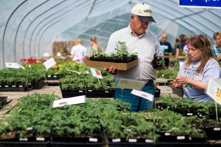 Plant sale (copy)