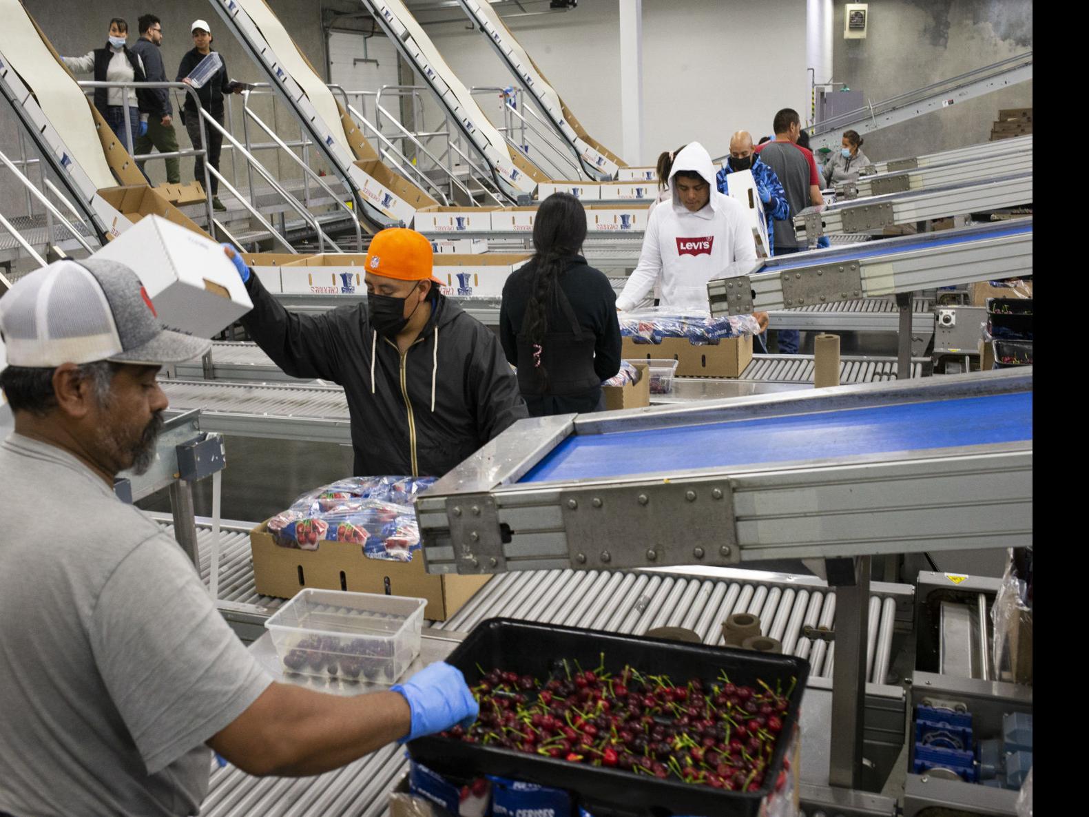 As new state rules take effect, most Yakima Valley businesses pay more than  $15.74 an hour | Business | yakimaherald.com
