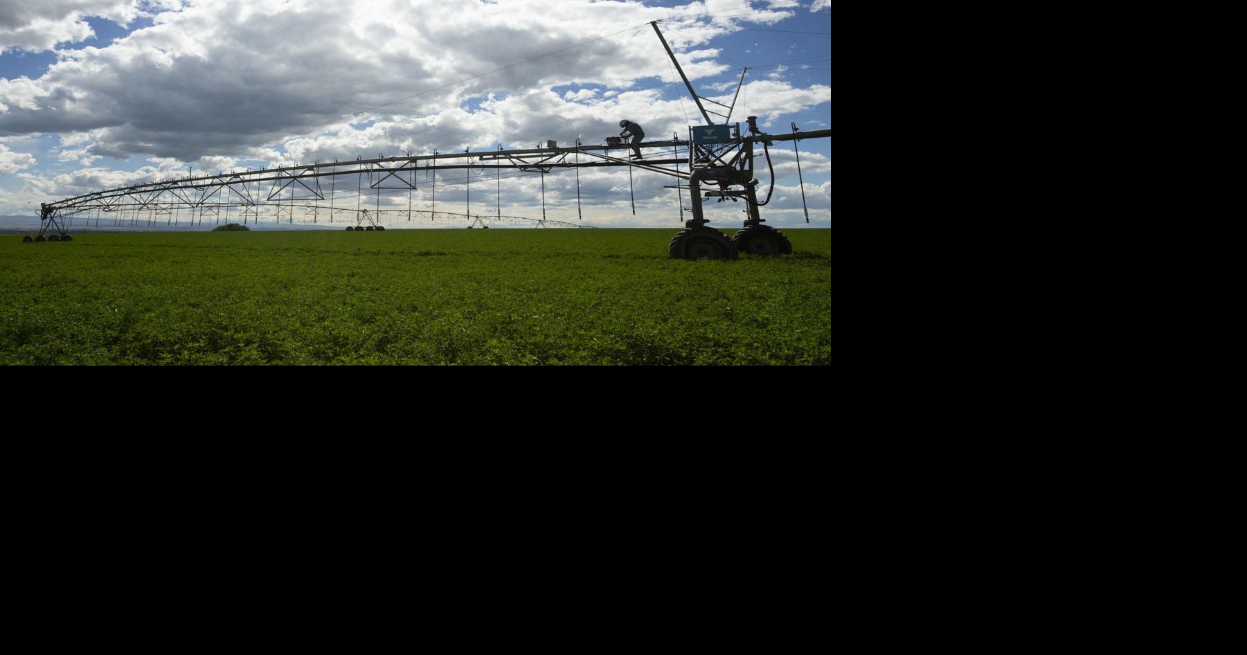 Drought watch Irrigation allotments increase to 72 percent in Yakima