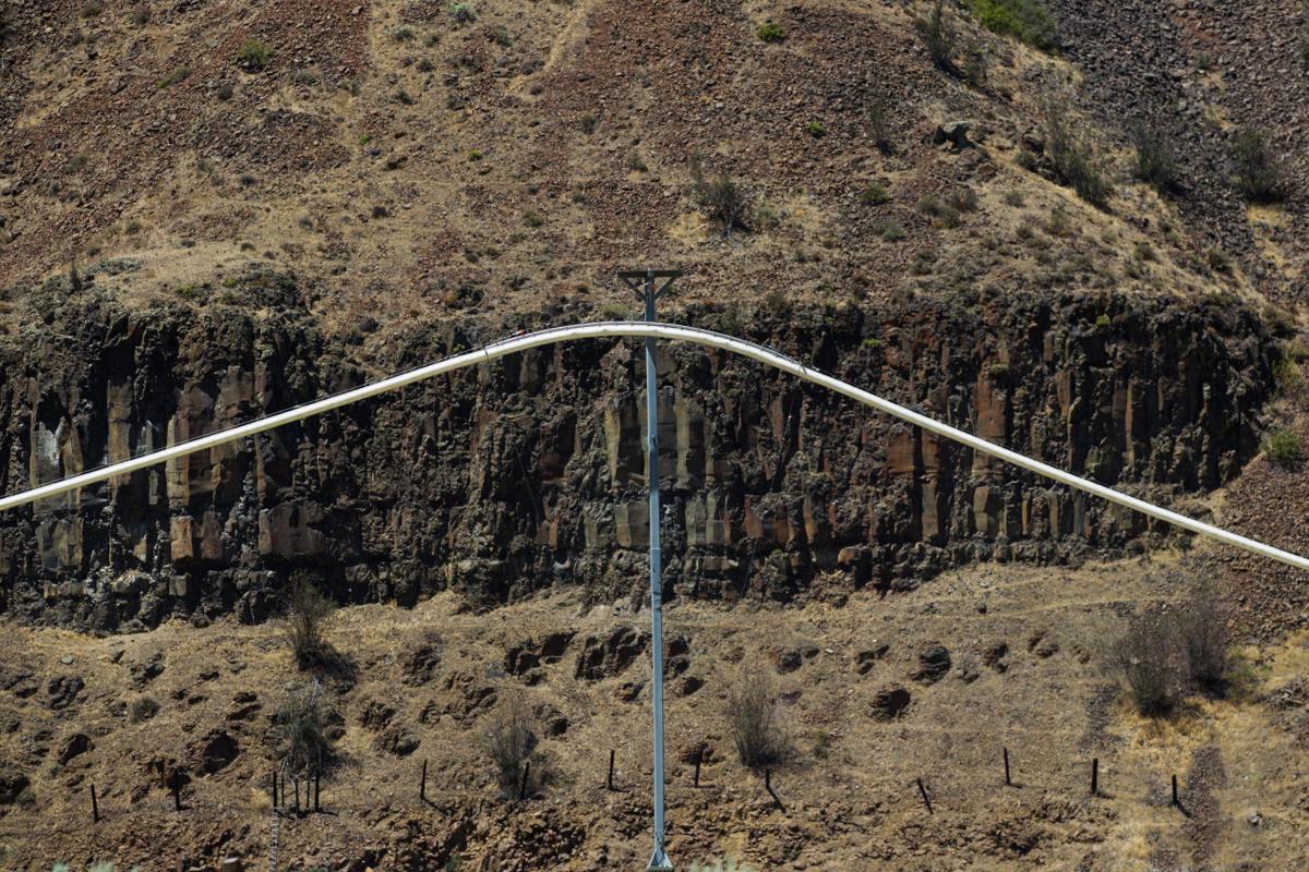 'Salmon Cannon' helps move fish over dams Local