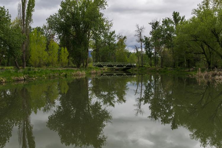 Fishing Rods for sale in Eschbach, Washington