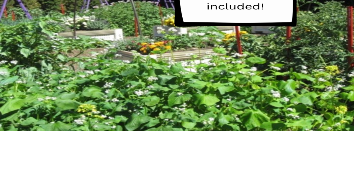Read moreYakima County Master Gardeners: Creative gardening ideas for renters with limited space