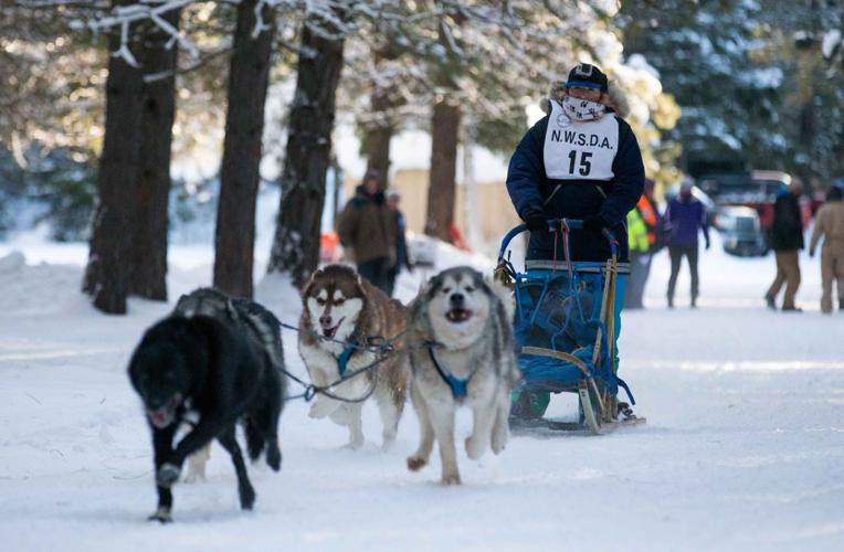 Photos Sled dog race in Cle Elum News Photos