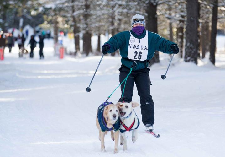 Photos Sled dog race in Cle Elum News Photos