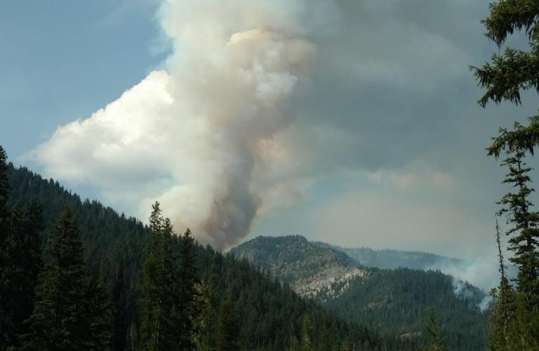 Cut Off Ridge Fire Lightning sparks fires in Cascades; some trails closed | Local ...