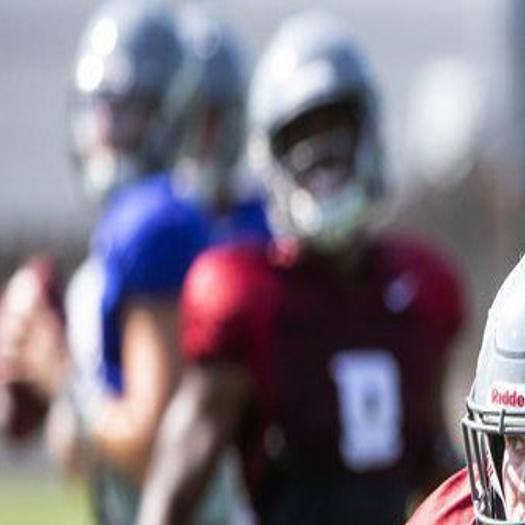 Running Back Borghi Just Likes Making Plays For Wsu Football