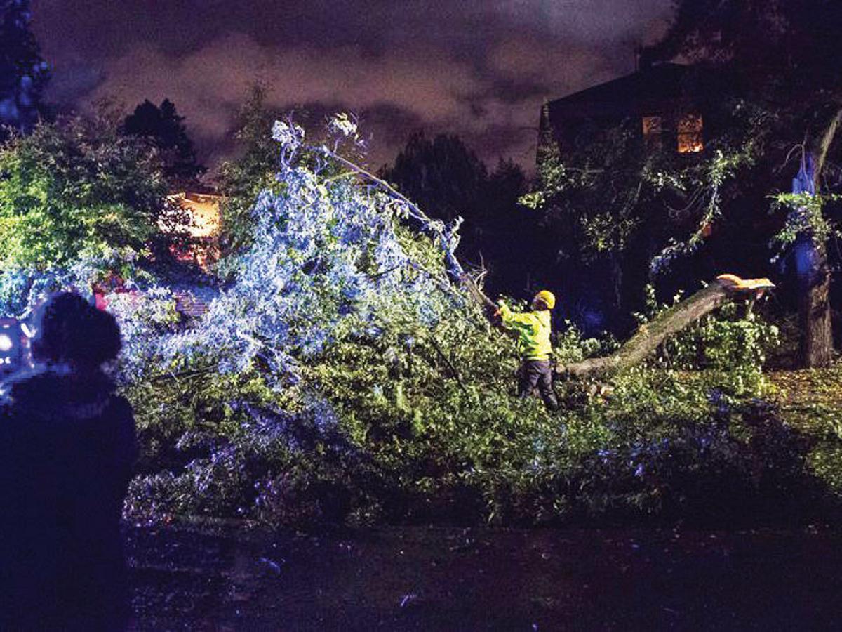West Side Windstorm Weaker Than Anticipated Yakima S Wet Local Yakimaherald Com