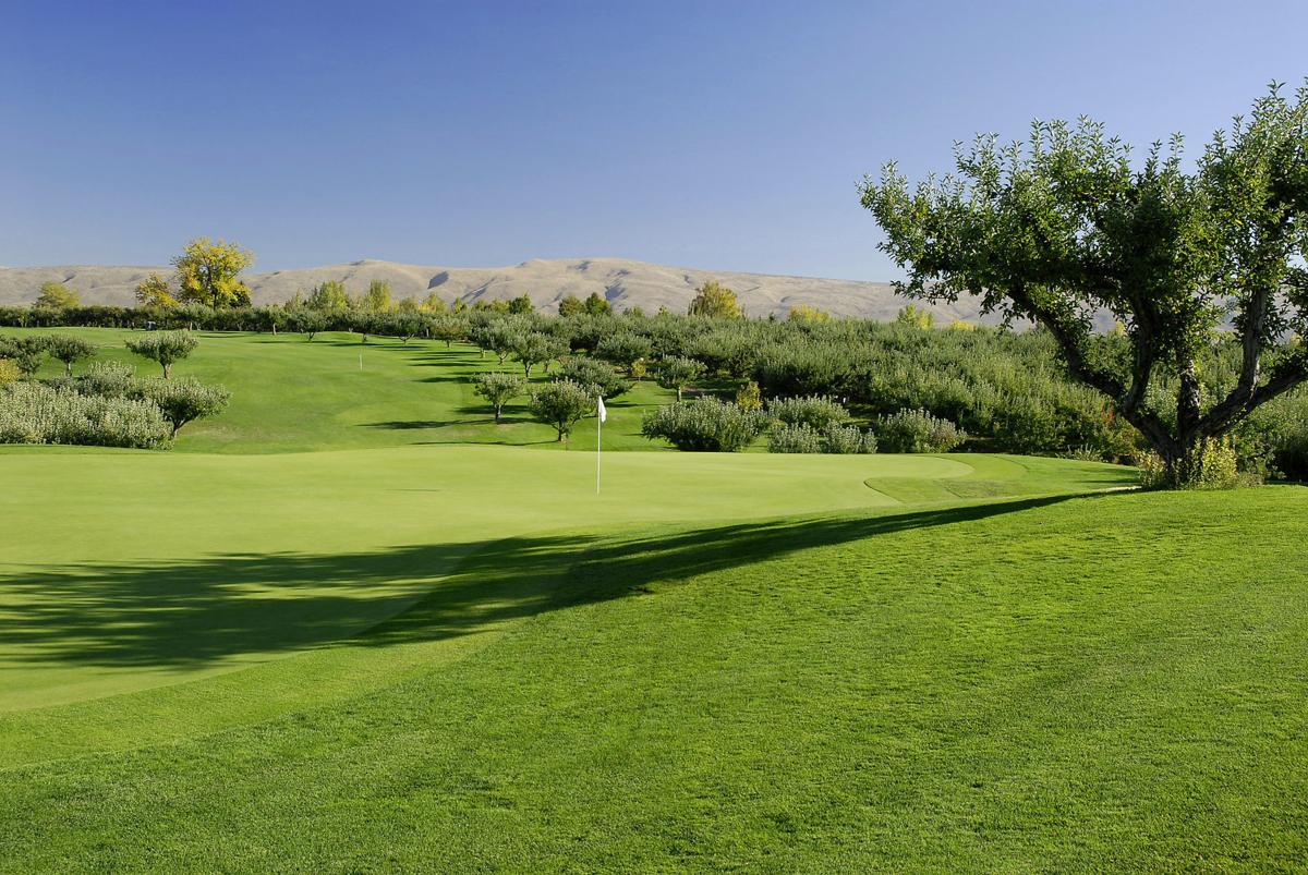 Apple Tree Golf Course Best Golf Course