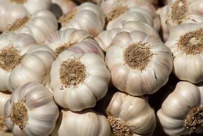 Master Gardeners: It's time to plant your garlic, Explore Yakima