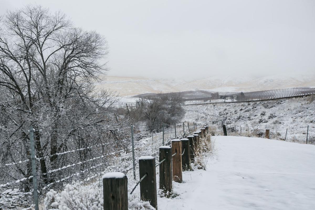 Photos Winter weather in the Yakima Valley News Photos
