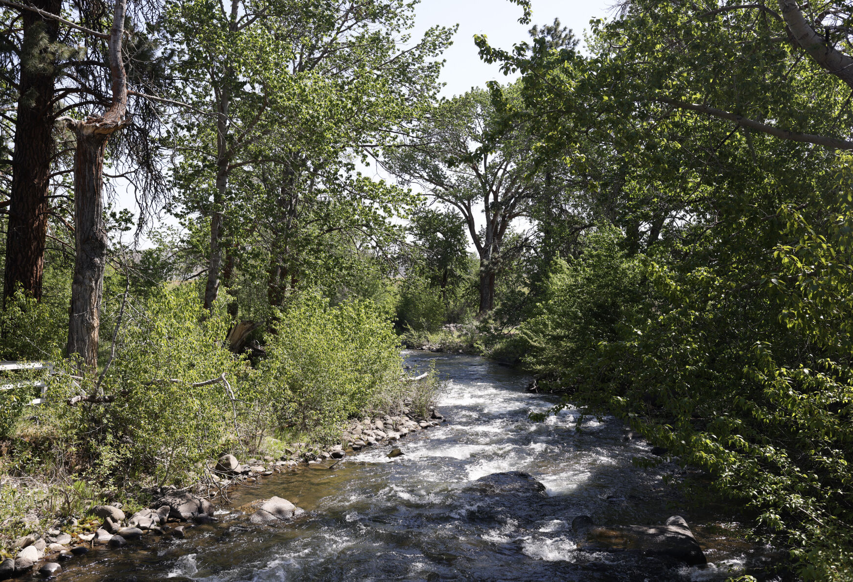 Water plan partners celebrate new Springwood Ranch project near Thorp ...