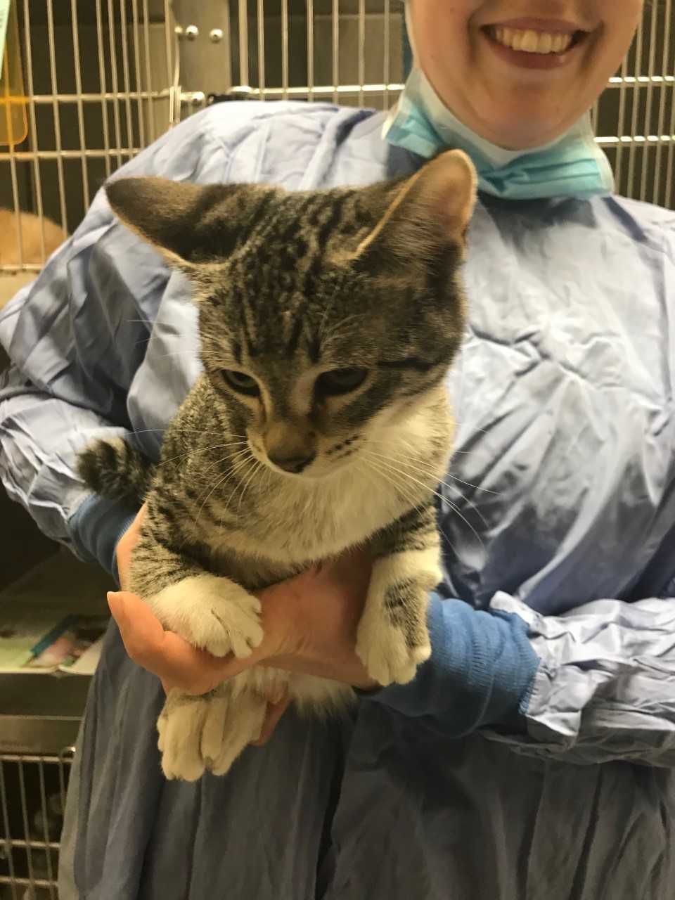 Yakima Humane Society's spayneuter clinic celebrates first anniversary